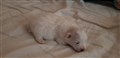 20190627_105757.jpg