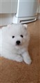 20190725_195313.jpg