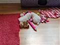 20220713_170451.jpg