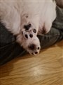 20231126_185024.jpg