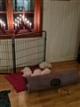 20231203_173131.jpg