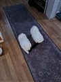 20231212_132959.jpg